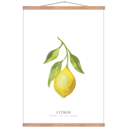 Lemon watercolor