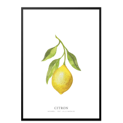 Lemon watercolor