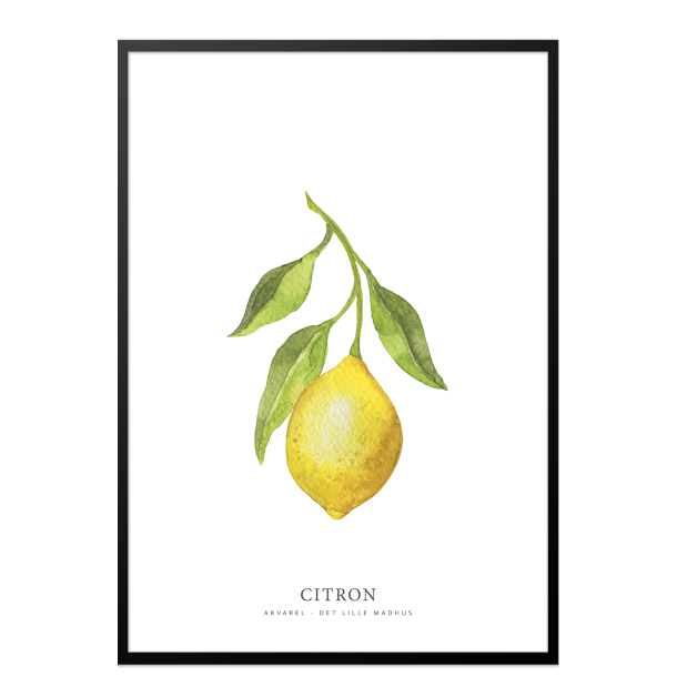 Citron akvarel