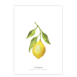 Lemon watercolor