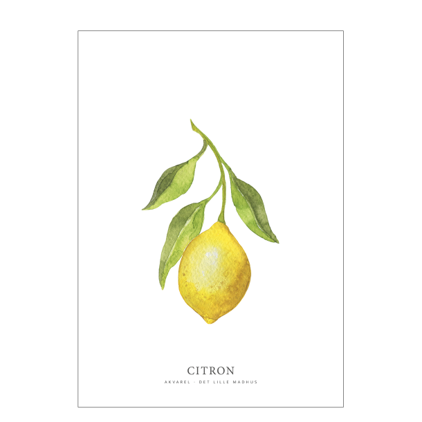Citron akvarel