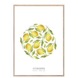 Flere citroner akvarel