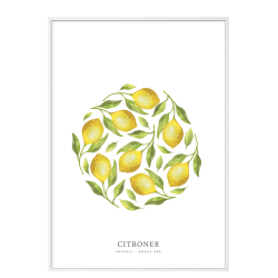 Flere citroner akvarel