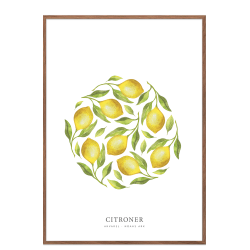 Flere citroner akvarel