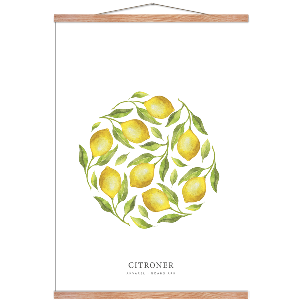 Flere citroner akvarel