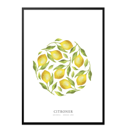 Flere citroner akvarel