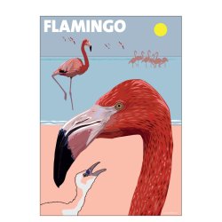Flamingo, Petersen