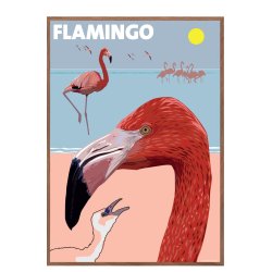 Flamingo, Petersen