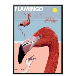 Flamingo, Petersen