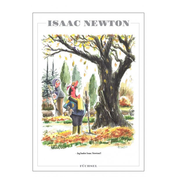 Isaac Newton - Fchsel mood poster