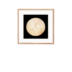 Hilma af Klint. Schwan Nr. 14 