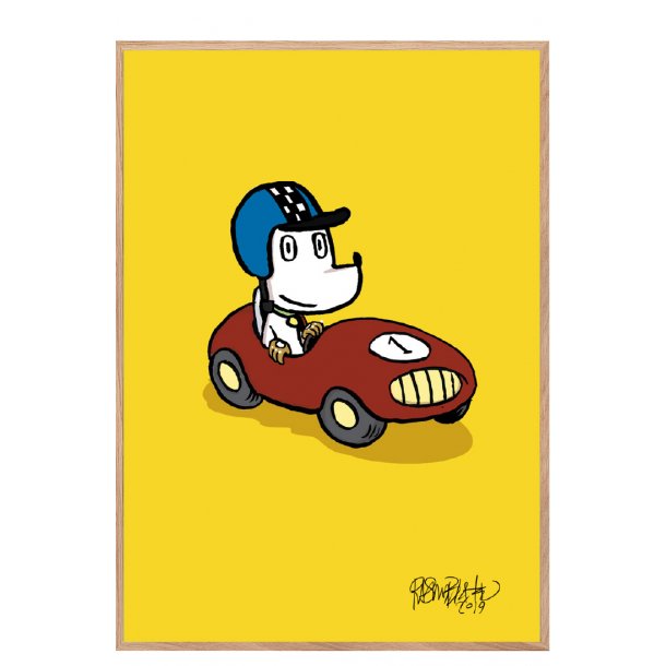 Hunden Ib i racerbil