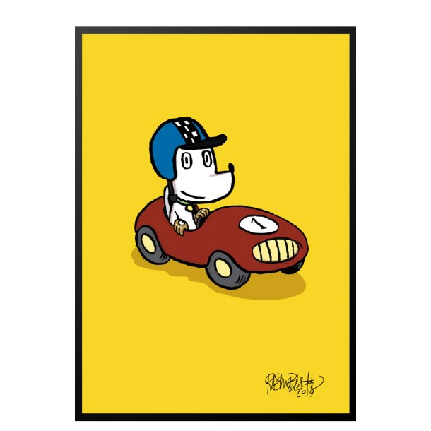 Hunden Ib i racerbil