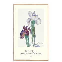 Sientje. Iris