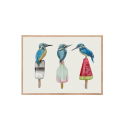 Flere isfugle. Plakat med dyr.