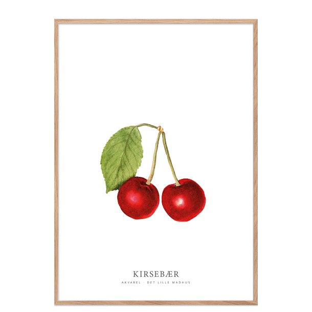 Kirsebr akvarel 