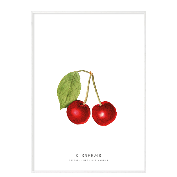 Kirsebr akvarel 