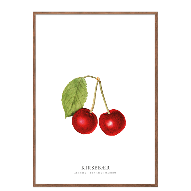 Kirsebr akvarel 