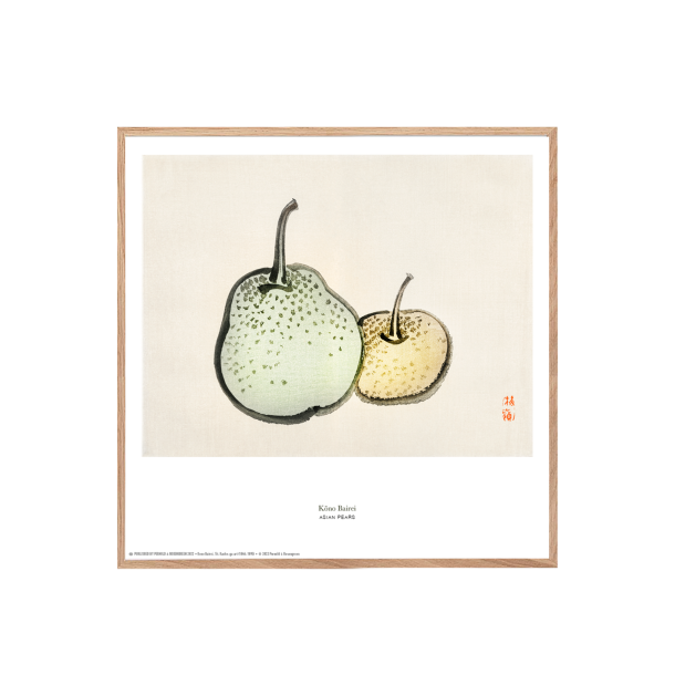  K&#333;no Bairei. Japansk trsnit m. frugt