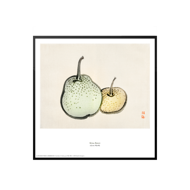  K&#333;no Bairei. Japansk trsnit m. frugt