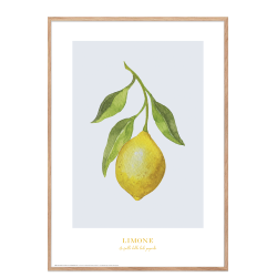 Lemon Poster: Limone (blau/grau)