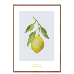 Lemon Poster: Limone (blau/grau)