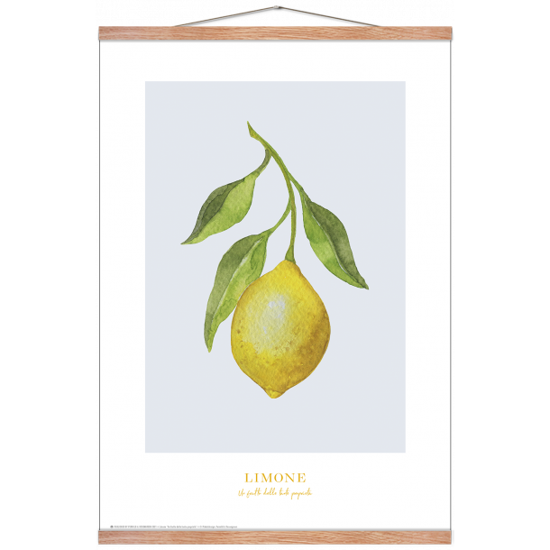 Plakat med citron: Limone (bl/gr)