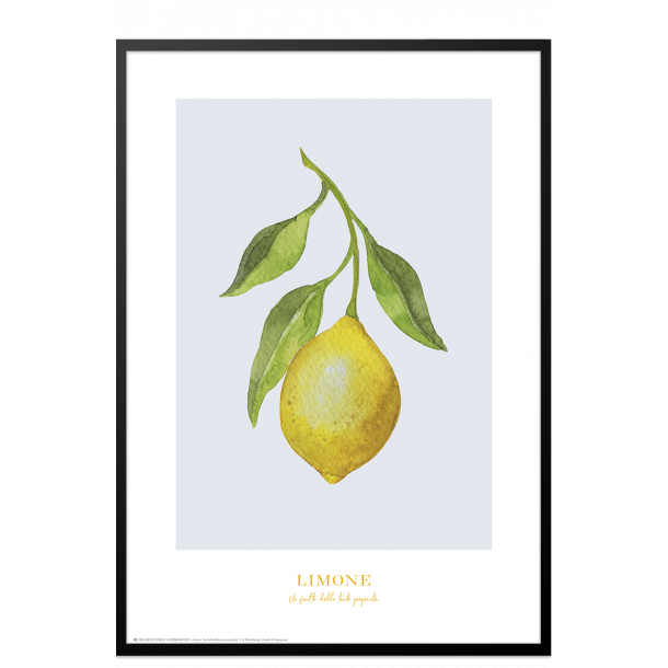 Plakat med citron: Limone (bl/gr)