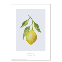 Lemon Poster: Limone (blau/grau)