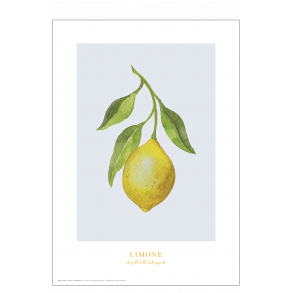 Lemon Poster: Limone (blau/grau)