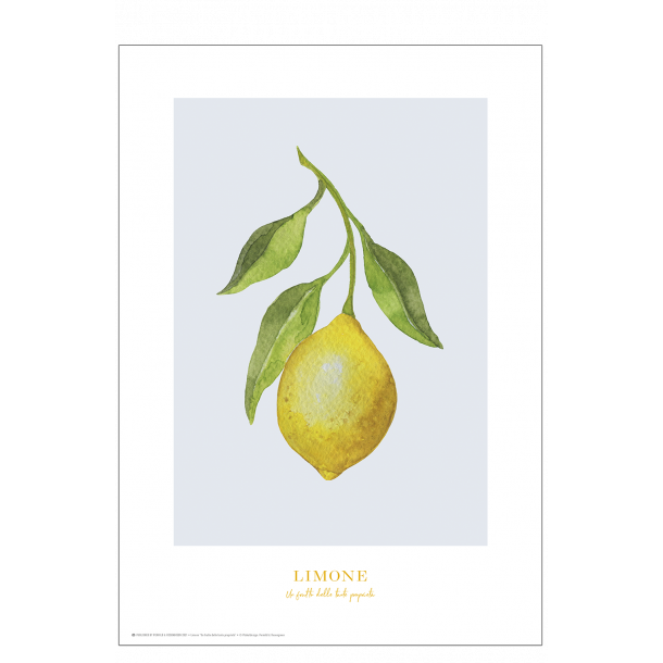 Poster with lemon: Limone (blue/grey)
