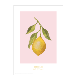Plakat med citron: Limone (lyserd)