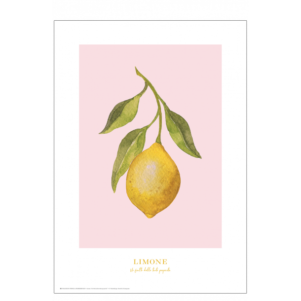 Plakat med citron: Limone (lyserød)