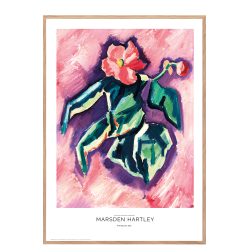 Marsden Hartley. Pink Begonias.