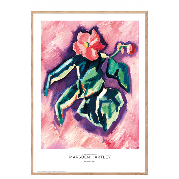 Marsden Hartley. Pink Begonias.