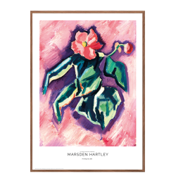 Marsden Hartley. Pink Begonias.