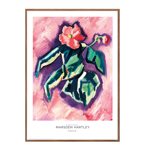 Marsden Hartley. Pink Begonias.