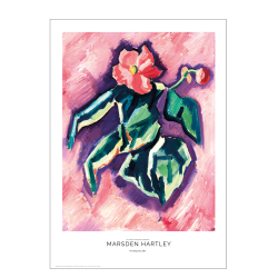 Marsden Hartley. Pink Begonias.