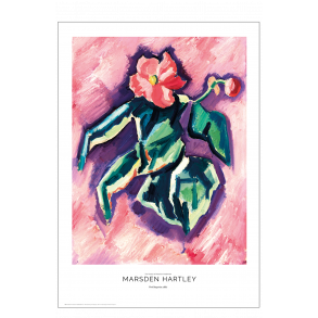 Marsden Hartley. Pink Begonias.