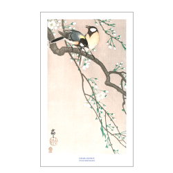 Japansk plakat | Tits on Cherry Branch 