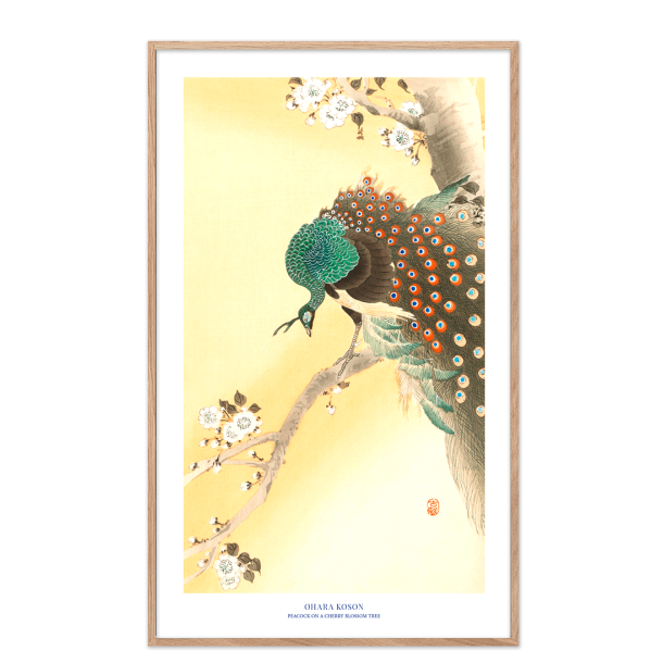 Japansk plakat | Peacock on a cherry blossom tree