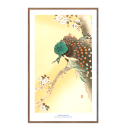 Japansk plakat | Peacock on a cherry blossom tree