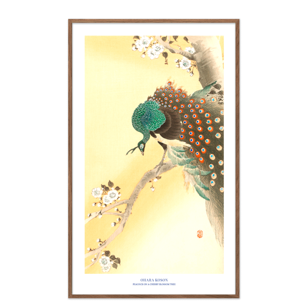 Japansk plakat | Peacock on a cherry blossom tree