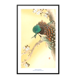 Japansk plakat | Peacock on a cherry blossom tree