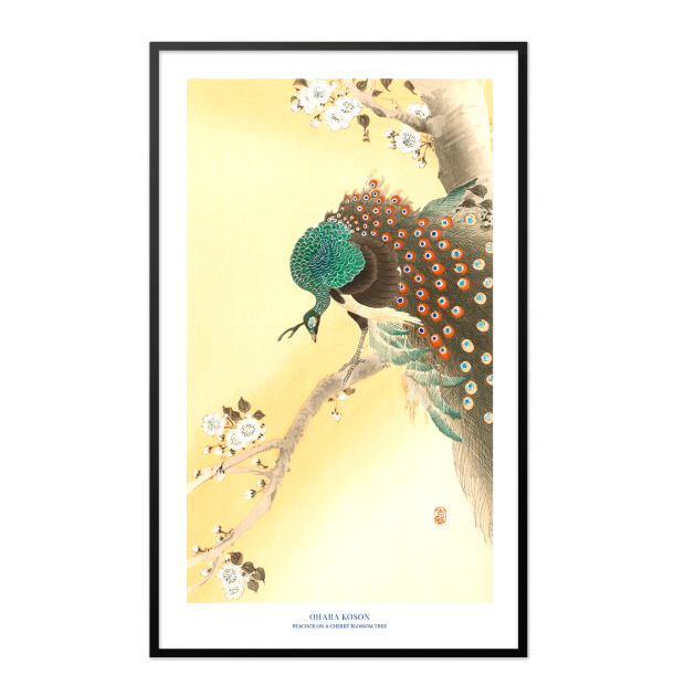 Japansk plakat | Peacock on a cherry blossom tree