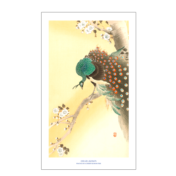 Japanisches Poster | Pfau auf einem Kirschbltenbaum