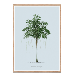 Vintage palme plakat. Lys bl