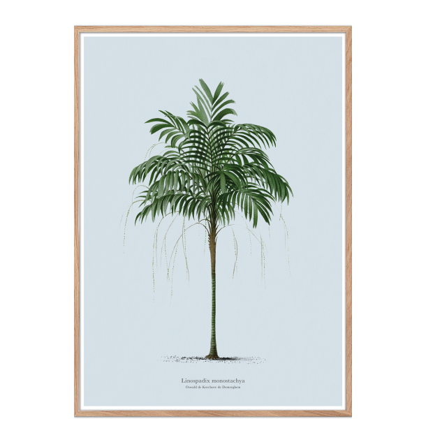 Vintage palme plakat. Lys bl