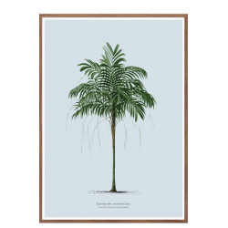 Vintage palme plakat. Lys bl