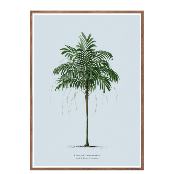 Vintage palme plakat. Lys bl